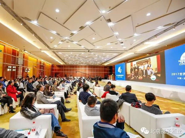 大美戎子 | 2017世界酒庄旅游大会圆满召开
