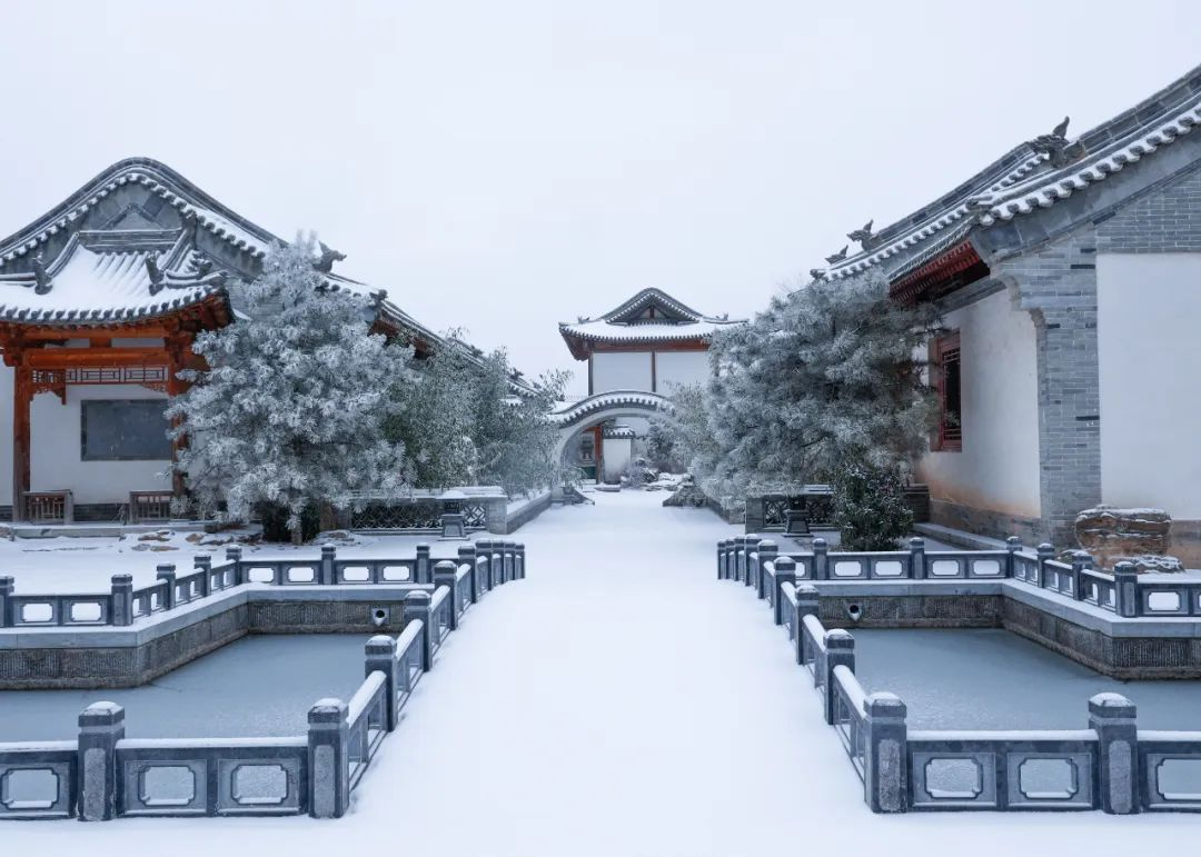 图片7.png